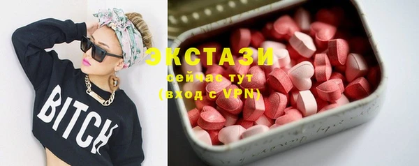 индика Надым
