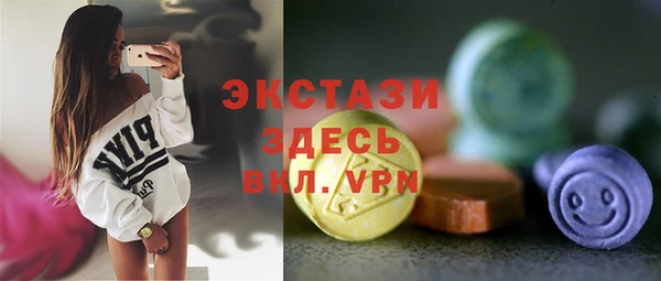 индика Надым