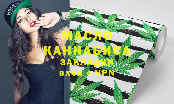 индика Надым