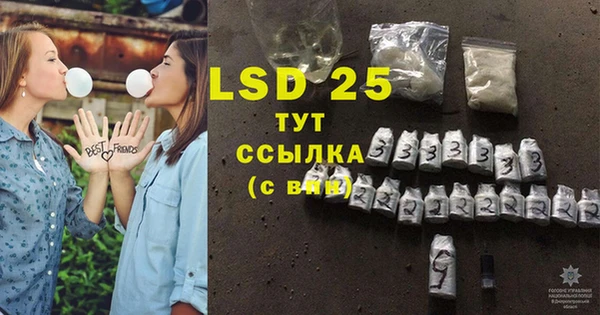 индика Надым