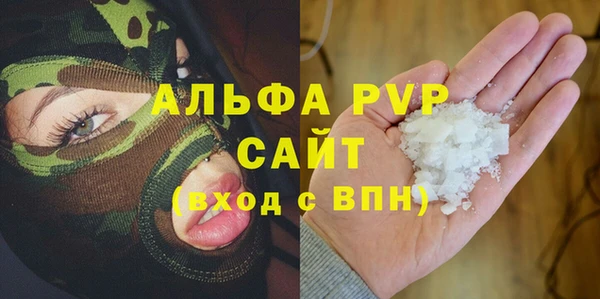 индика Надым