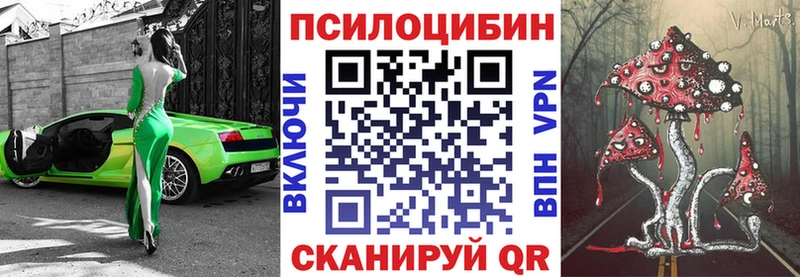 Псилоцибиновые грибы Cubensis  Новохопёрск 