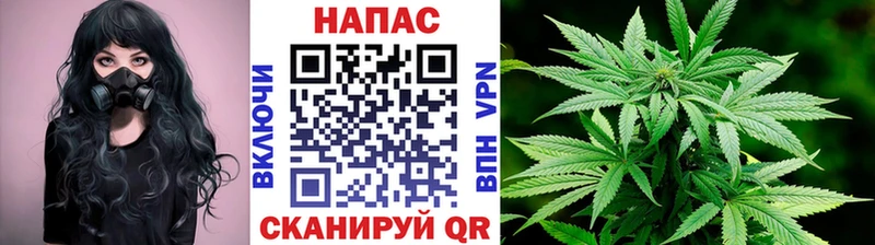 Бошки Шишки VHQ  Новохопёрск 